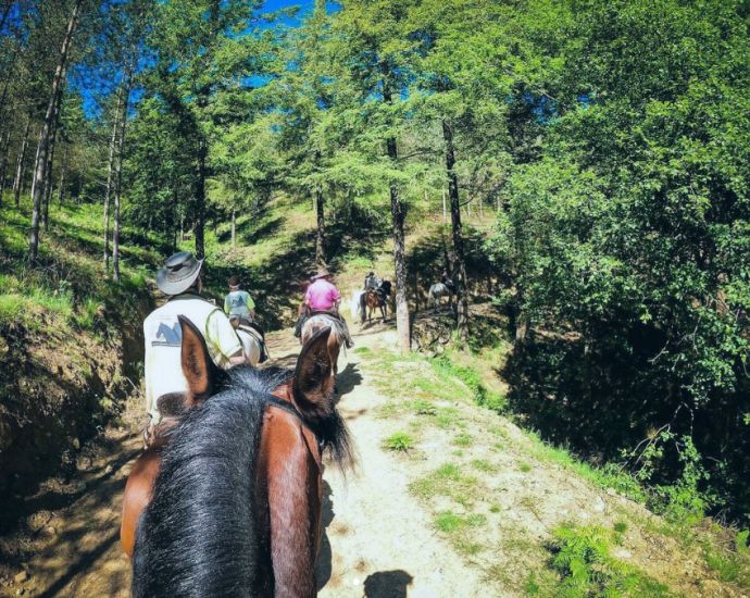 Rutas a Caballo